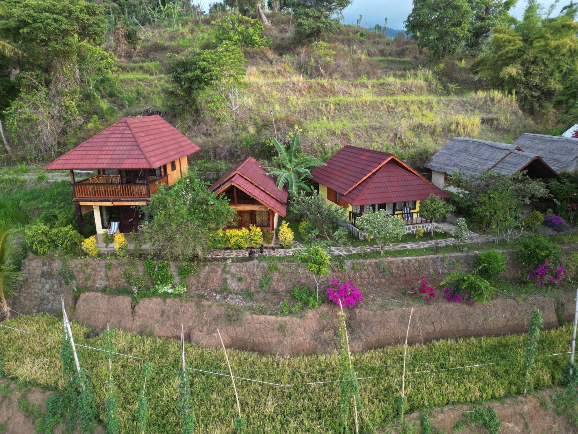 Rinjani Mountain Garden Hotel Bayan Buitenkant foto